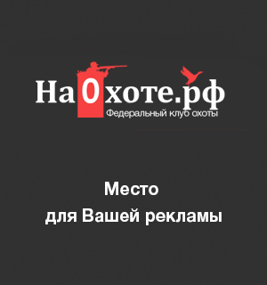 Разместить баннер